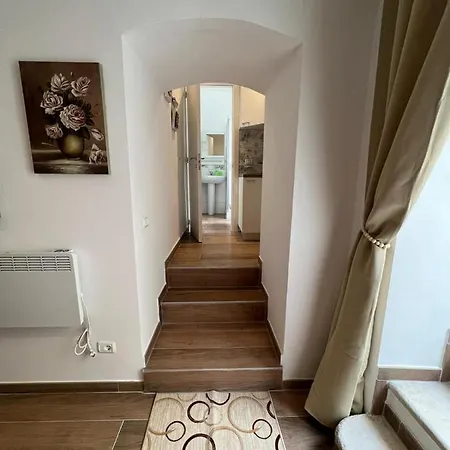 Chloe 루보디풀리아